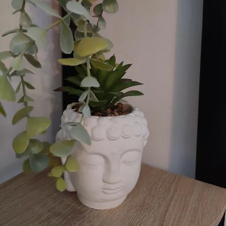 Apartment La Jungle Urbaine Avec Garage Prive & Climatisation