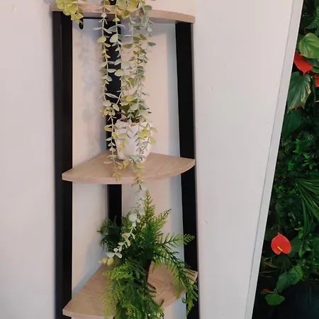La Jungle Urbaine Avec Garage Prive & Climatisation *
